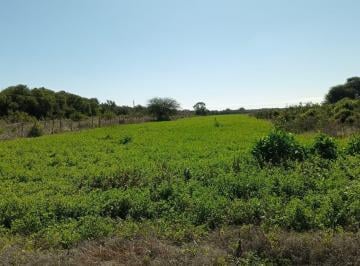Campo · 7136707m² · Alquiler Campo 713ha