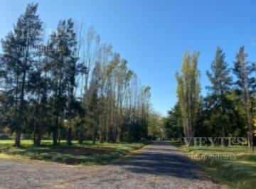 Terreno · 300m² · Terreno en Venta en Loma Verde