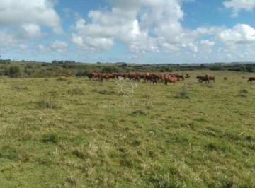 Foto1 · Campo Sobre Ruta 39 Cerca de San Carlos