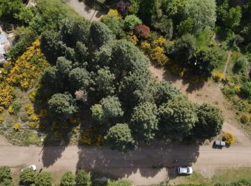 Terreno · 1109m² · Terreno en San Carlos de Bariloche