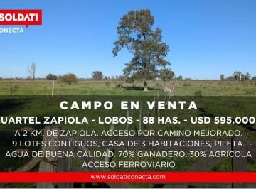 Campo · 100ha · 4 Ambientes · Campo Mixto de 88 Has en Zapiola con Casa, Pileta y Excelente Acceso - Venta