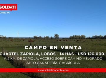 Campo · 140000ha · Campo de 14 Ha en Cuartel Zapiola Apto Ganadería y Agrícola, Lobos, Pcia de Buenos Aires