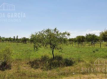 Terreno · 801m² · Terreno - Colon