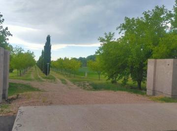 Terreno · 2162m² · Lote en Venta de 2100 m en Rama Caída San Rafael