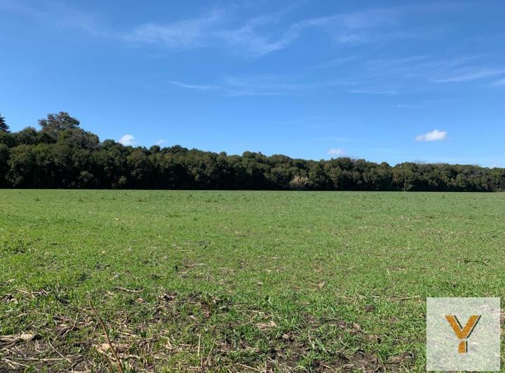 Campo · 32165m²