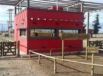 Terreno · 500m² · Venta Lote Complejo Adorable Puente