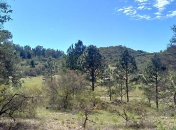 Terreno · 1319m² · Venta Lote Terreno V Ciudad de America Oportunidad
