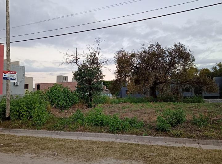 Terreno · 325m²