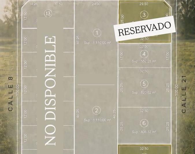 Terreno · 1000m²