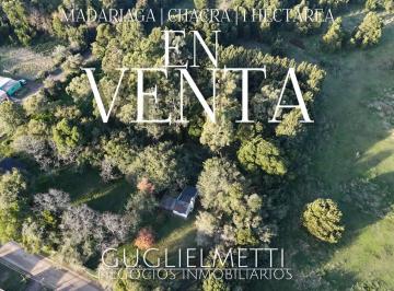 Casa · 10000m² · 2 Dormitorios · Hectárea en Venta con Vivienda Principal y Departamento