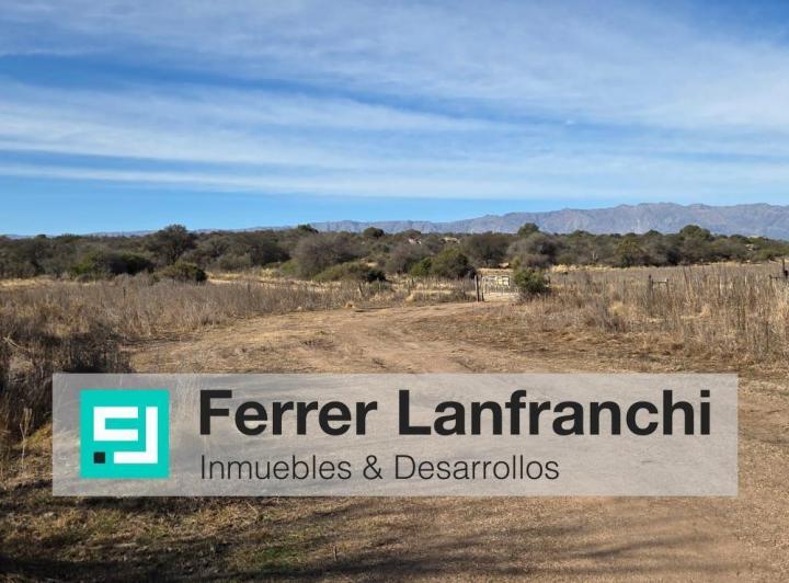 Terreno · 195ha