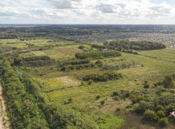 Campo · 25ha · Campo en Venta Arana de 25,38 Ha