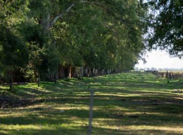 Terreno · 1655m² · Lote en Venta - Barrio Altos de Plomer - 1655 m²