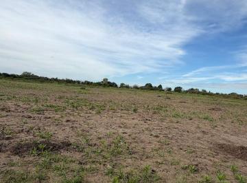 Terreno , Colonia Caroya · Cuatro Lotes en Venta Colonia Caroya