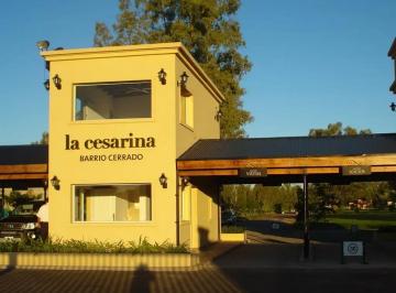 Terreno , General Rodríguez · Dueño Vende Lote Central en La Cesarina Apto Crédito!