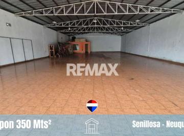 Bodega-Galpón · 350m² · Local Comercial - a m de Ruta 22, Senillosa