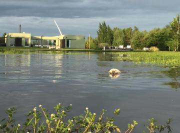 Campo · 320m² · 5 Ambientes · Chacra en San Andrés de Giles
