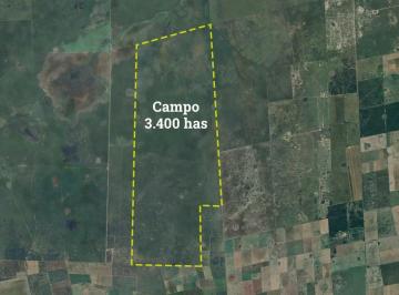 Campo · 34000000ha · 3 Ambientes · Campo en Selva