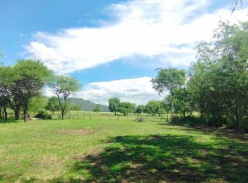 Terreno , Villa General Belgrano · Terreno en Venta – Villa General Belgrano | Barrio Cuatro Horizontes