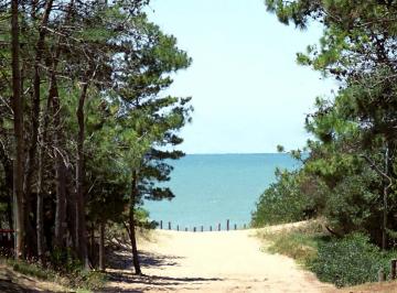 Terreno · 10000m² · Venta Fraccion 1 Hectarea en Villa Gesell