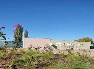 Terreno , Junín · Lote Apto PH en Venta – Bosque Blanco, Junín