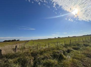 Campo · Campo a La Venta en Coronel Vidal