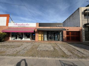 Casa · 230m² · 3 Dormitorios · 2 Cocheras · Casa 3 Dorm. con 2 Locales Comerciales