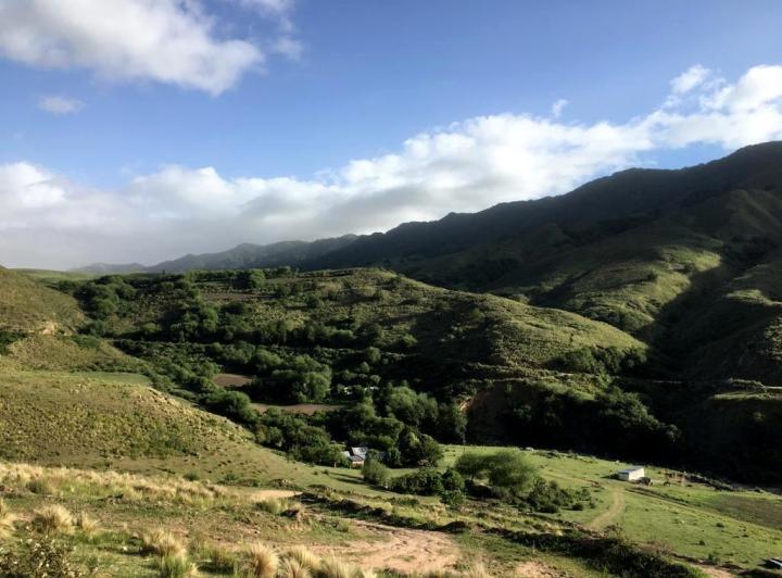 Campo · 22500000ha · 3 Dormitorios