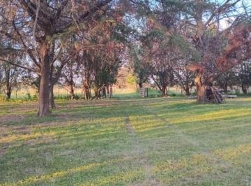 Quinta vacacional de 5 ambientes, Ischilín · Dueño Vende Finca Al Norte de Córdoba (Ischilin) Argentina
