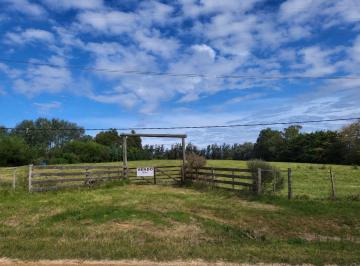 Campo · 30000ha · Campo de 3 Hectáreas en Camino Eguzquiza | con Tajamar