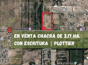 Campo · 3ha · Venta Chacra de Tres Ha en Plottier, Neuque