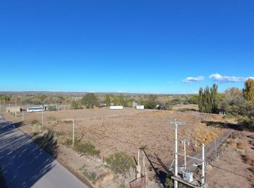 Terreno · 10000m² · Alquiler 1 Hectarea Añelo