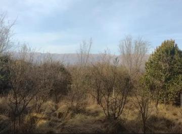 Terreno , Carpintería · Lote en Venta en Carpinteria