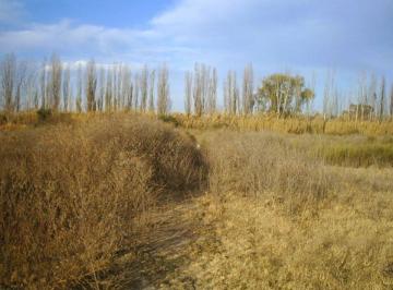 Terreno , Los Corralitos · Venta de Terreno. Corralitos. Mendoza. Mendoza.