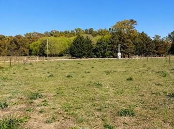 Terreno · 1137m² · Terreno de 1.137 m² en Venta, Listo Para Escriturar - Villa Ruiz