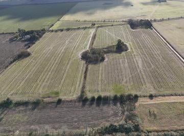 Campo · 270000ha · Campo en Lobos
