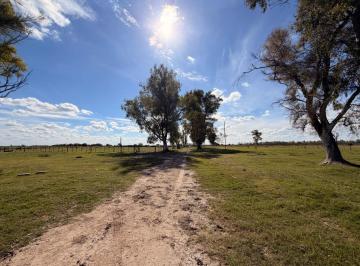 Campo · 17000000m² · 2 Dormitorios · Campo Ganadero en Venta o Alquiler Zona San Cristobal Permutas