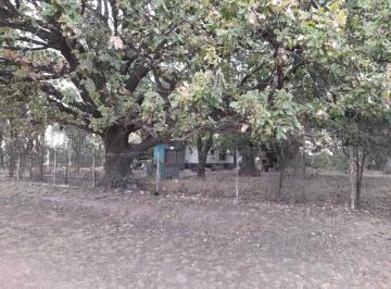 Terreno · 3987m² · Excelente Terreno con Añeja Forestación