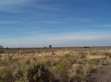 Campo · 30ha · Venta Finca - Chacra con Pozo Mendoza Santa Rosa