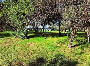 Terreno · 1234m² · Venta Lote Terreno 1234 m² en La Arbolada (Malagueño)