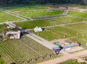 Terreno · 525m² · Venta Lote Terreno Central Cerca Al Ingreso en Dionisio Apto Para Escriturar Mariano Acosta Merlo