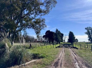 Campo · 200ha · Venta de Campo en San Vicente Cuartel Segundo