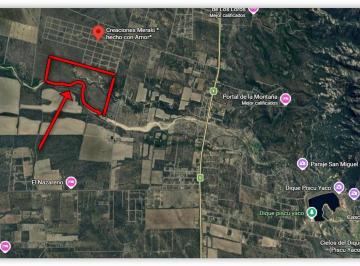 Campo · 57m² · 1 Ambiente · Cortaderas, Campo 56,58 Has a 2,5 Kms de Ruta 1