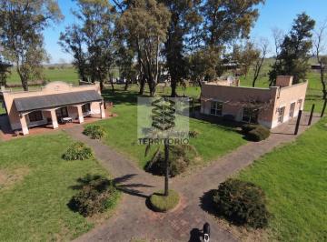 Campo · 2000ha · 8 Ambientes · Tambo y Fabrica de Quesos en Zapiola, Lobos