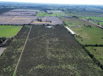 Campo · 120000m² · Vendo Campo 12 Has en Colonia Caseros Entre Ríos