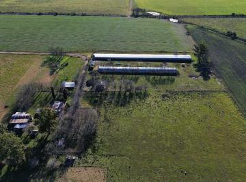 Campo · 3000m² · 4 Dormitorios · 1 Cochera · Vendo Campo de 21 Has con Gja Avícola y 2 Casas En colonia Elía, E R