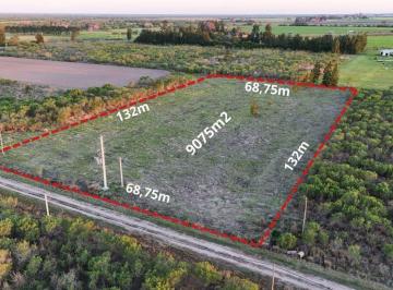 Terreno · 9075m² · Terreno en Avellaneda