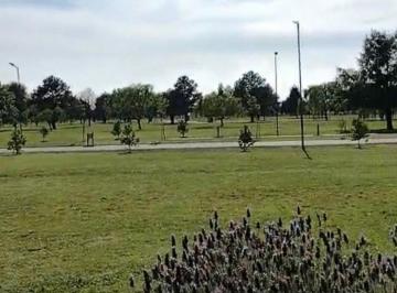 Terreno · 1146m² · Venta Lote 1000 m² Mirabosques Cardales