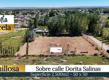 Terreno · 2500m² · Venta Parcela en Senillosa de 2500 m² Neuquen