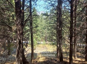 Terreno , San Martín de los Andes · Lote en Venta en El Exclusivo Barrio Privado Chapelco Golf & Resort, en San Martin de Los Andes